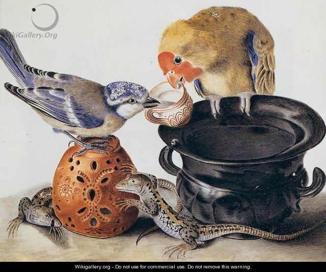 Parrot, Blue Tit, Two Lizards, and Vases - Luisa Vitelli