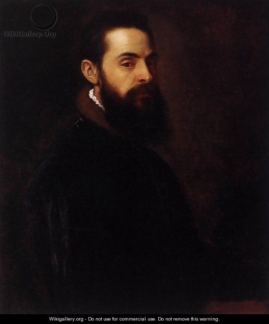 Portrait of Antonio Anselmi 2 - Tiziano Vecellio (Titian)