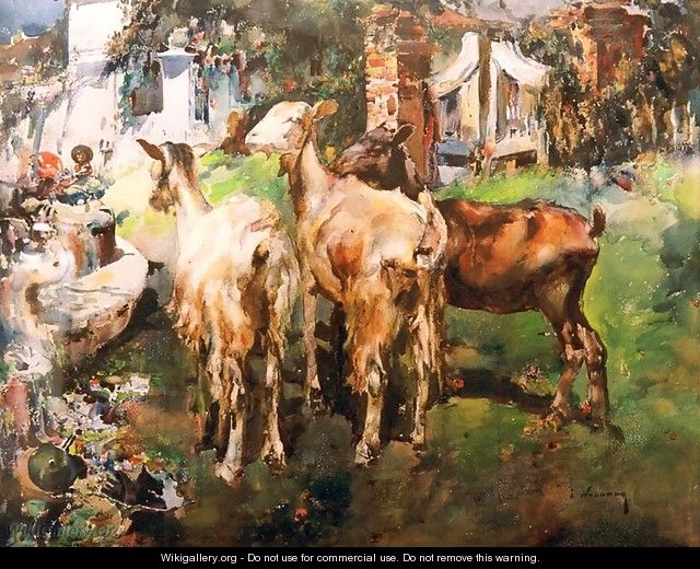Goats - Jose Navarro Llorens