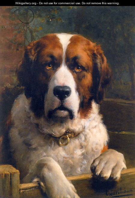 A Saint Bernard Dog - Otto Eerelman
