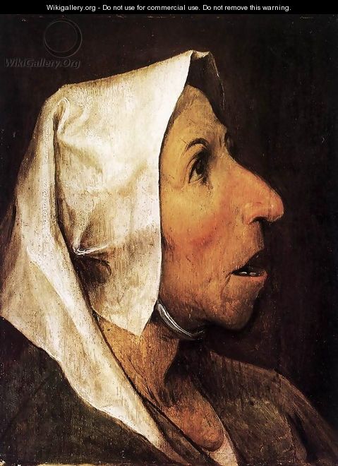Portrait of an Old Woman 1564 - Jan The Elder Brueghel
