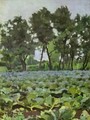 Cabbage Field With Willows 1893-94 - Viktor Elpidiforovich Borisov-Musatov