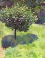 A Tree Study - Viktor Elpidiforovich Borisov-Musatov