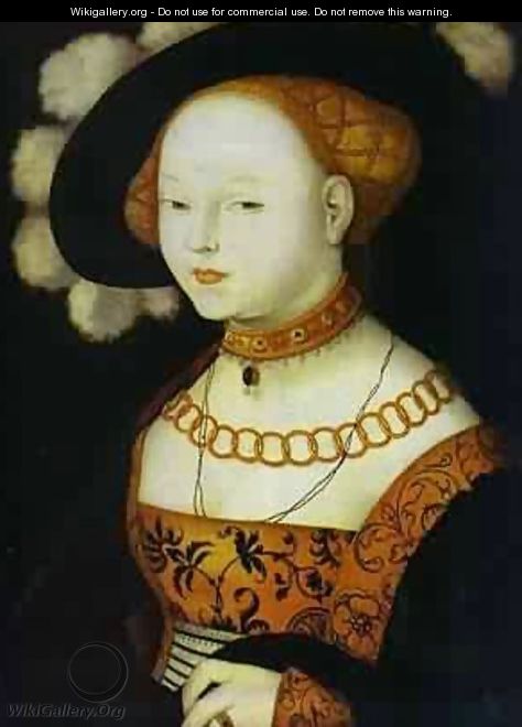 Portrait Of A Lady 1530 - Hans Baldung Grien