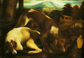 Two Dogs - Jacopo Bassano (Jacopo da Ponte)