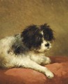 Best friend portrait of a dog - Andreas Schelfhout