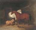 Two horses and a goat in a stable - Alfred Wheeler
