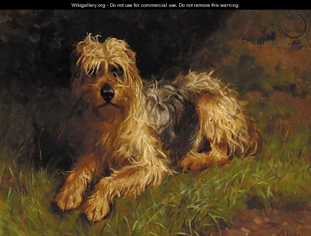 A soft-coated wheaten terrier - Alfred Duke