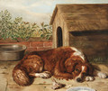 Dog - Alfred R. Barber