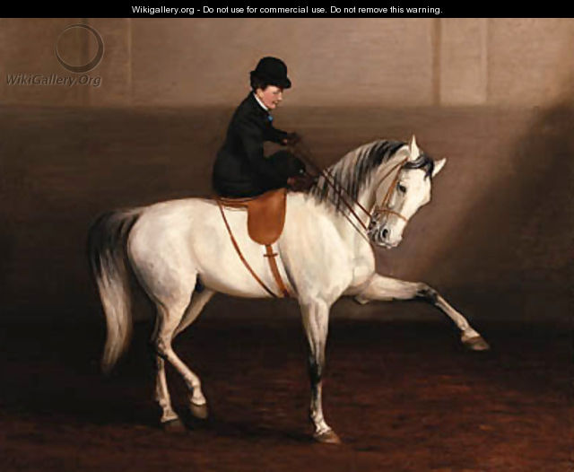 The Morning Lesson, A Lady on her Grey Horse - Alexander Pope