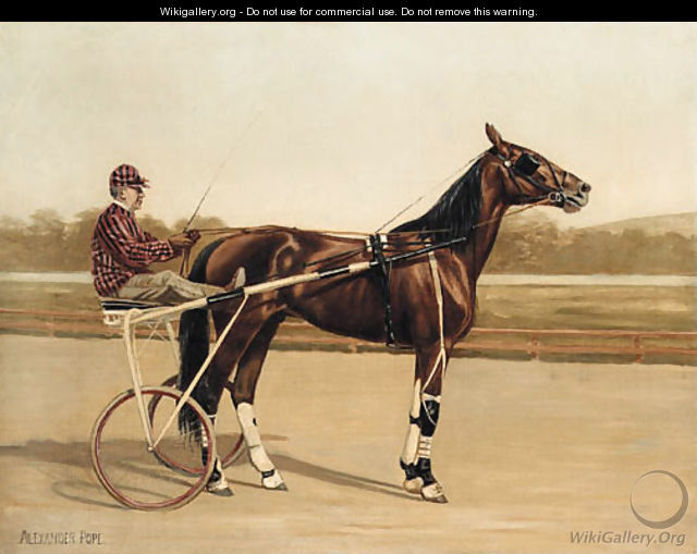 Major Delmar, a Trotter, on a racecourse - Alexander Pope