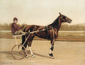 Major Delmar, a Trotter, on a racecourse - Alexander Pope