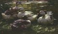 Vier Enten Am Wasser - Alexander Max Koester