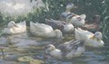 Ducks on a Lake 2 - Alexander Max Koester