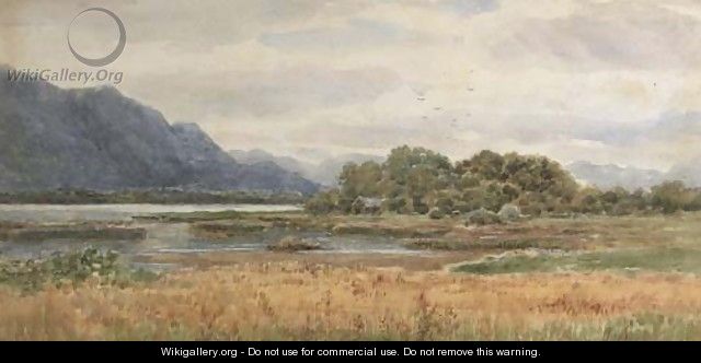View from the Lake Hotel, Killarney - Alexander Williams