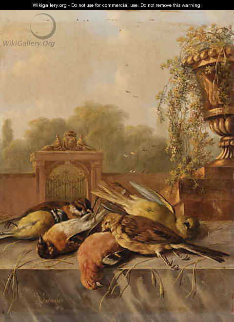 Still Life of Birds on a Ledge - Albertus Verhoesen