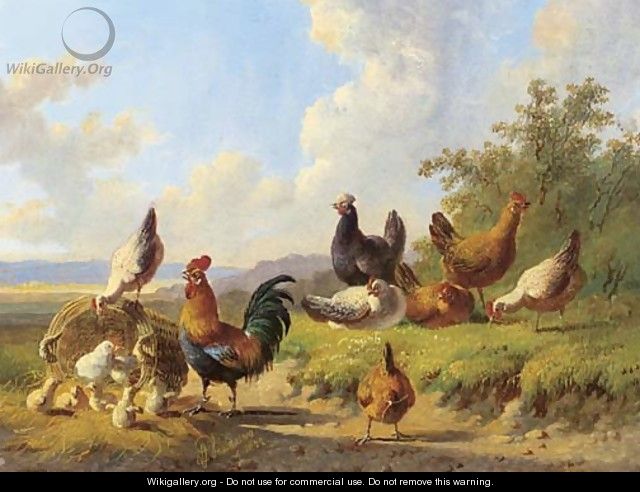 Poultry in a meadow - Albertus Verhoesen