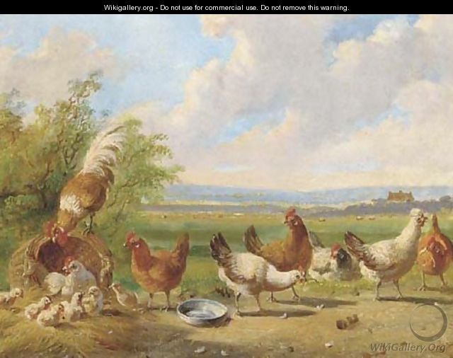 Poultry in a landscape - Albertus Verhoesen