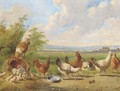 Poultry in a landscape - Albertus Verhoesen