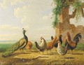 Poultry by ruined walls 2 - Albertus Verhoesen