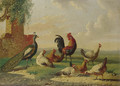 Poultry by a ruined wall in a landscape - Albertus Verhoesen