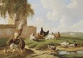 Poultry by a ruin, a country house in the distance - Albertus Verhoesen