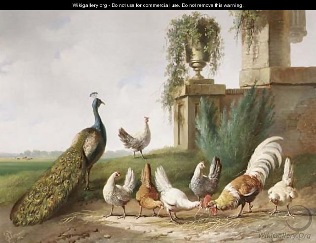 Poultry and a peacock in a meadow - Albertus Verhoesen
