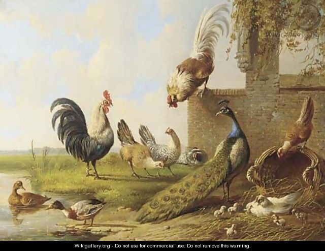 Poultry and a peacock by a ruin 2 - Albertus Verhoesen