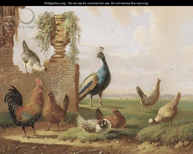 Poultry and a peacock by a ruin - Albertus Verhoesen