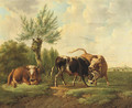 Fighting bulls 2 - Albertus Verhoesen
