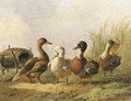 Ducks - Albertus Verhoesen