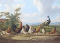 Cheerful chickens - Albertus Verhoesen