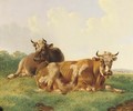 Cattle in a sunny meadow - Albertus Verhoesen