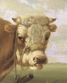 A bull's head - Albertus Verhoesen