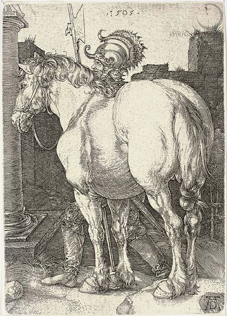 The Large Horse 2 - Albrecht Durer