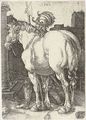 The Large Horse 2 - Albrecht Durer