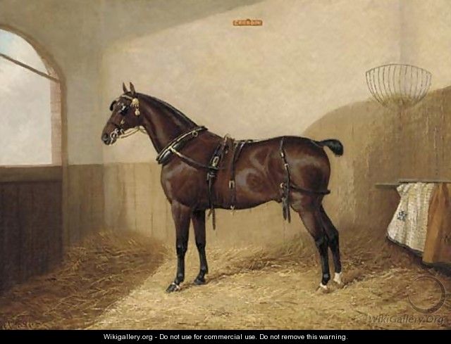 Goodboy, a harnessed liver chestnut in a stable - A. Clark