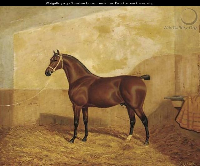 A tethered brown hunter in a stable - A. Clark
