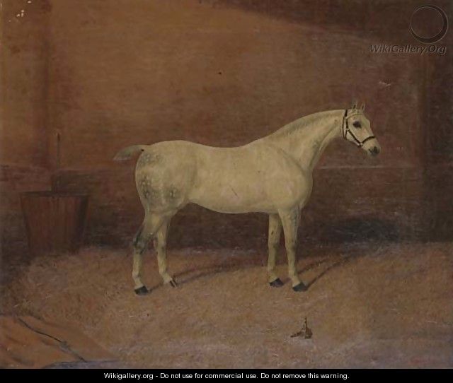 A dappled grey hunter in a stable - A. Clark