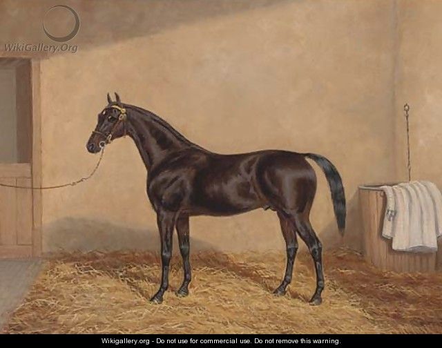 A bay racehorse in a stable - A. Clark