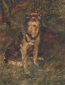 A dog in a wood - Alan Culpepper Sealy