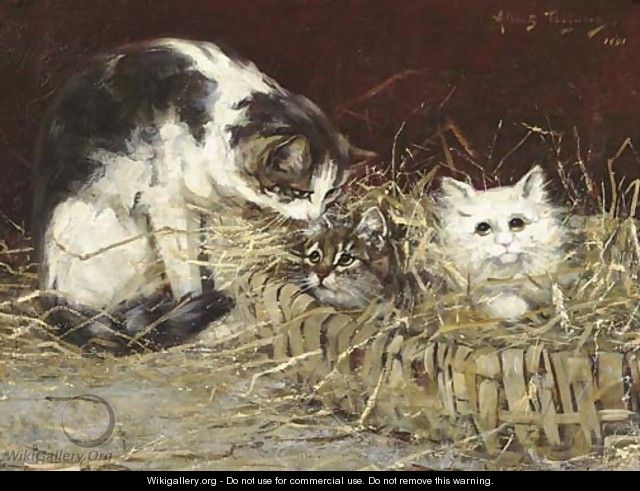 Kittens in a basket - Albert Julien Toefaert