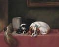 The cavalier's pets 3 - Sir Edwin Henry Landseer