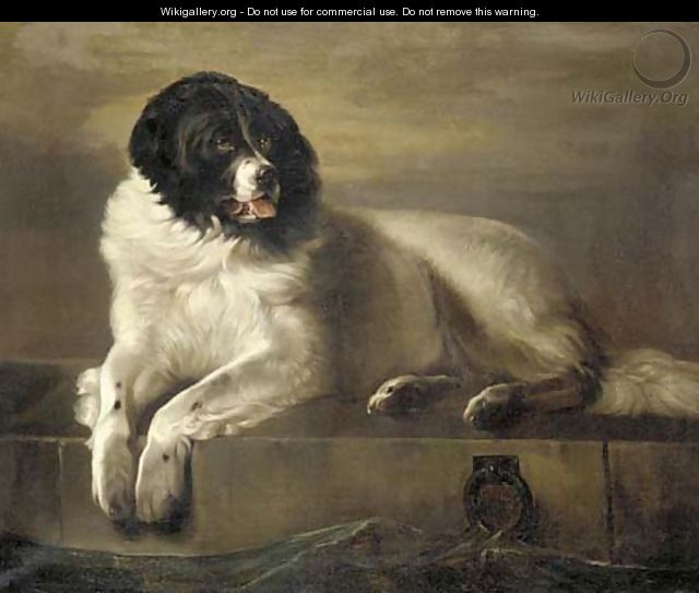 A distinguished member of the humane society - Sir Edwin Henry Landseer