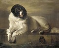 A distinguished member of the humane society - Sir Edwin Henry Landseer
