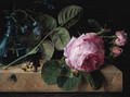 Roses - Agathe Pilon