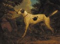 Dash, Colonel Thornton's terrier, in a wooded landscape - (after) Sawrey Gilpin