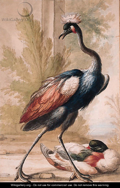 An Emu and a Duck - (after) Gijsbertus Haasbroek