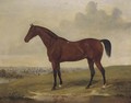 Bloomsbury, a bay racehorse - (after) David Of York Dalby
