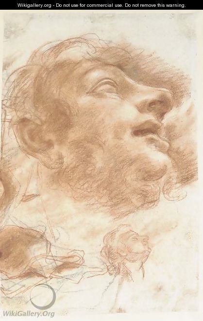 Head of a man looking up - (after) Domenico Maria Canuti